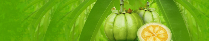 Garcinia Cambogia