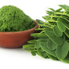 Moringa_a_arvore_da_vida