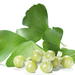 Ginkgo Biloba- propriedades