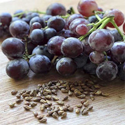 Farinha de grainha de uva - um laxante natural