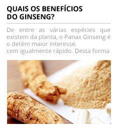 Quaisosbeneficiosdoginseng.jpg