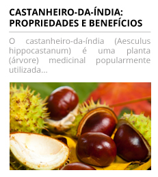 castanheirodaindia